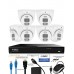 IVSEC 12MP 6K AI 2TB 8CH 6x1250D Dome Cameras UHD NVR CCTV Security System (8x4) - IVK8L-12506D